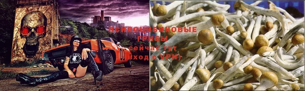 дистиллят марихуана Алексин
